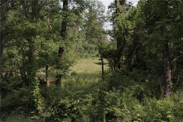 000 E Veteran Rd, Milo, MO 64767