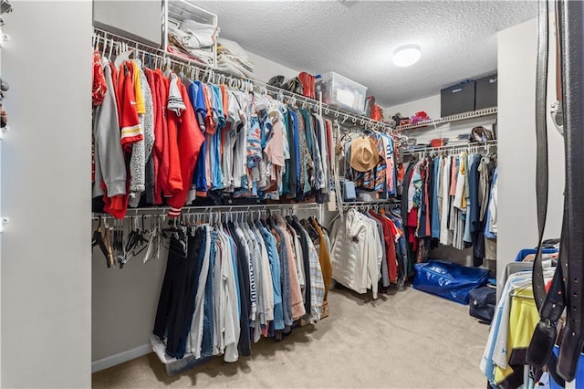 4022 SW Flintrock Dr, Lees Summit, MO 64082 - walk in closet with carpet