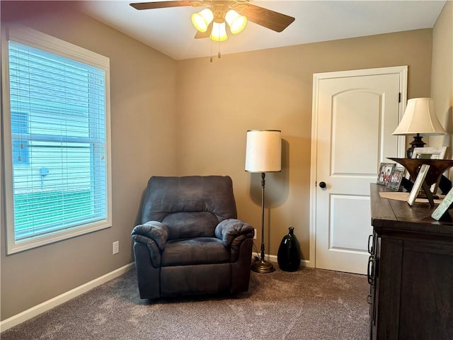 4705 N Creek Wood Dr, Saint Joseph, MO 64507 - photo 19