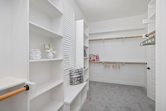 22112 W 80th Ter, Shawnee, KS 66220 - spacious closet featuring carpet floors