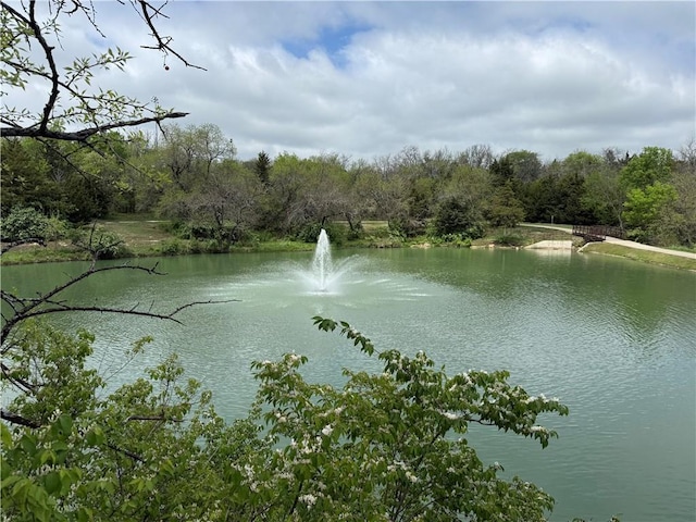 22112 W 80th Ter, Shawnee, KS 66220 - water view featuring a heavily wooded area