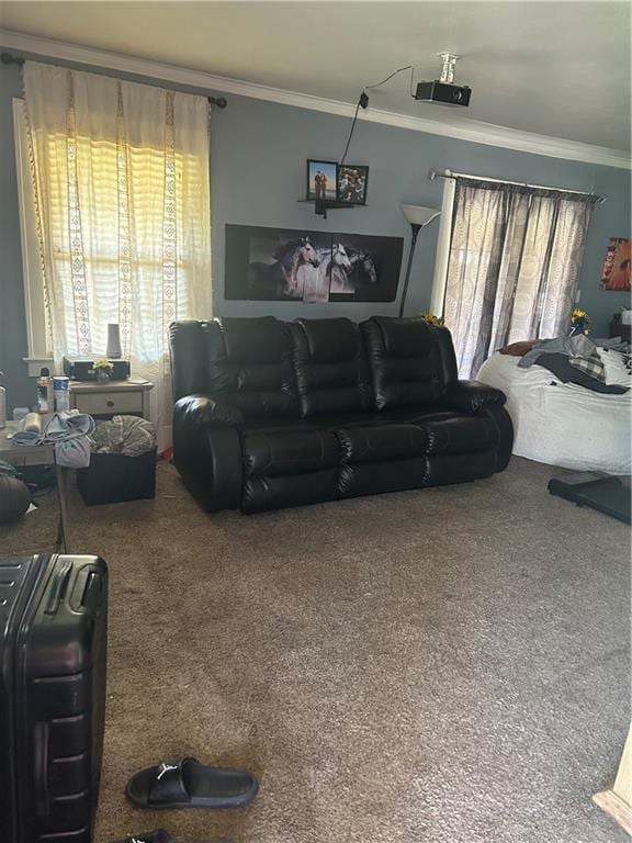 112 W Neosho St, Iola, KS 66749 - living room featuring ornamental molding, plenty of natural light, and carpet floors
