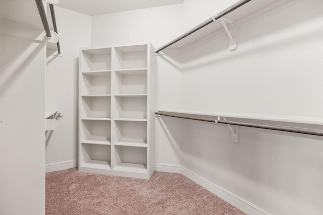 24793 W 98th St, Lenexa, KS 66227 - spacious closet featuring carpet flooring