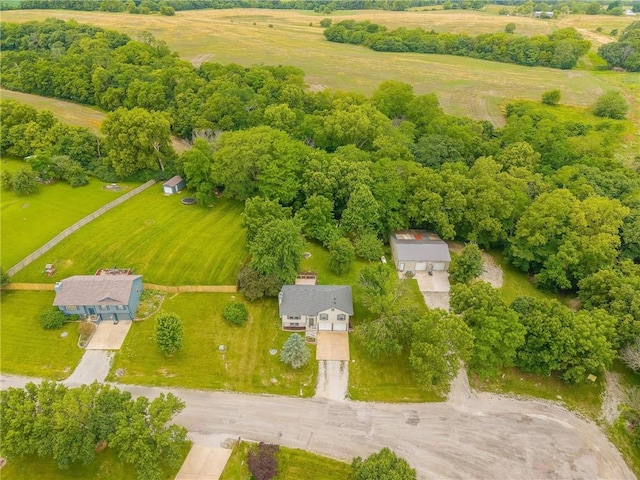 5488 SW Reed Ln, Trimble, MO 64492 - overview of rural landscape