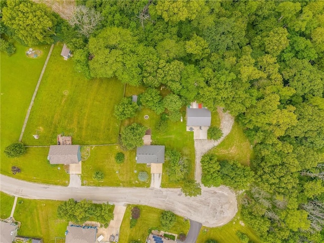 5488 SW Reed Ln, Trimble, MO 64492 - drone / aerial view