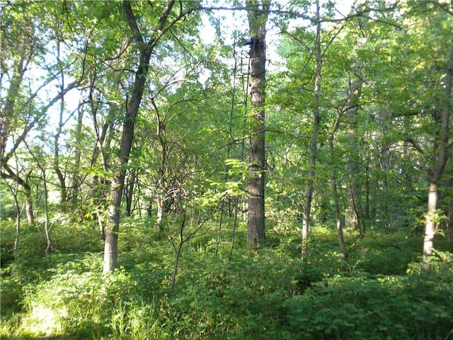 0 Bedford Rd, Spring Hill, KS 66083