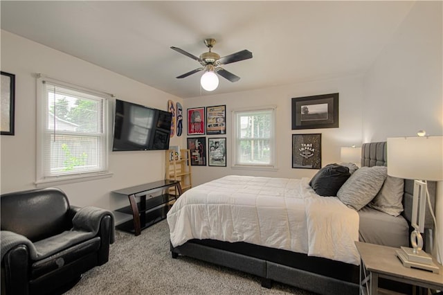 4511 NE 45th St, Kansas City, MO 64117 - bedroom featuring carpet, multiple windows, and ceiling fan