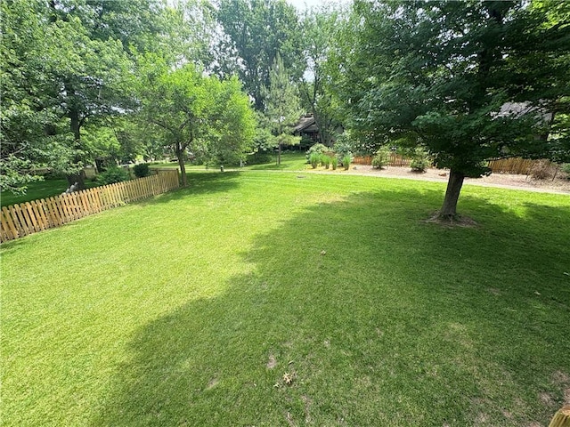 3647 NW Blue Jacket Dr, Lees Summit, MO 64064 - view of yard