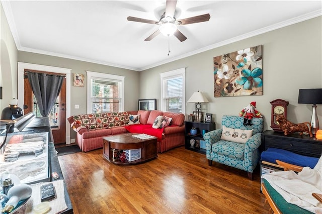 808 N River Blvd, Independence, MO 64050 - living room with crown molding, ceiling fan, and wood finished floors