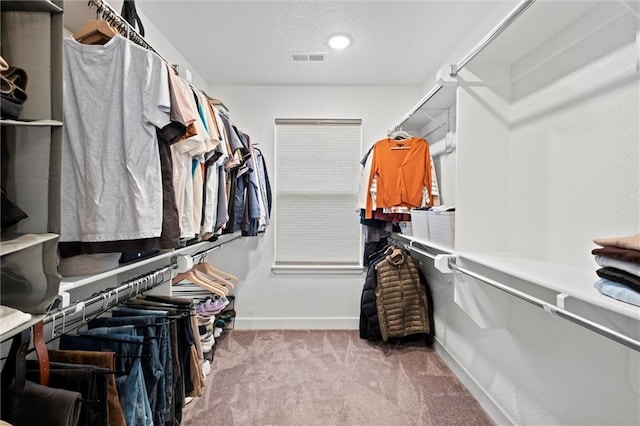 8810 SW 9th Ter, Blue Springs, MO 64064 - walk in closet featuring carpet