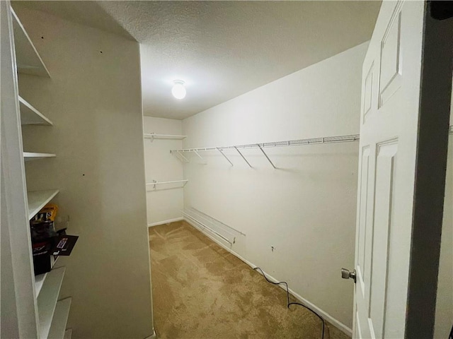31821 159th St, Leavenworth, KS 66048 - spacious closet with light colored carpet