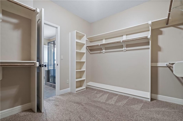 15027 Ash St, Leawood, KS 66224 - walk in closet featuring carpet