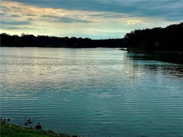 3625 Lake Shore Dr, Odessa, MO 64076 - photo 8