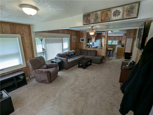 225 E 11th St, Horton, KS 66439 - carpeted living area featuring wooden walls, a textured ceiling, healthy amount of natural light, and a ceiling fan