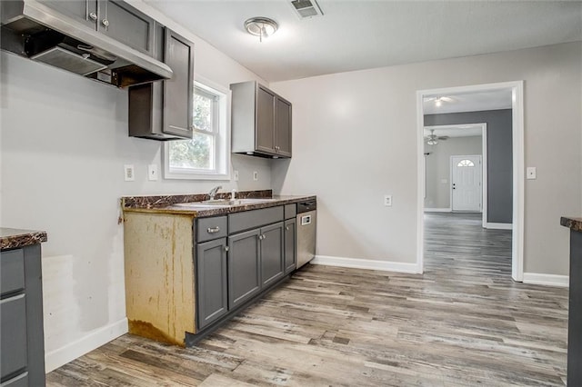 114 W 2nd St, Garden City, MO 64747 - kitchen featuring under cabinet range hood, a sink, light wood finished floors, and gray cabinetry