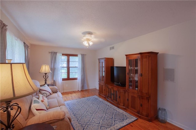 501 N Franklin St, Spring Hill, KS 66083 - living room with light wood finished floors and a textured ceiling