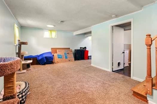 1203 S Skyline Dr, Liberty, MO 64068 - basement with carpet flooring and baseboards