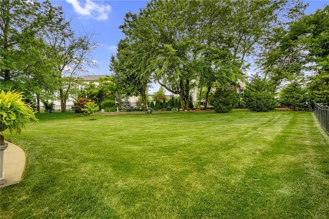 14208 Larsen St, Overland Park, KS 66221 - view of yard