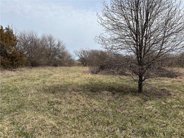 W 255th St, Louisburg, KS 66053 - photo 4