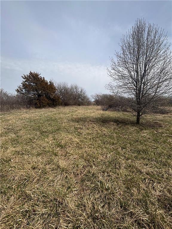 W 255th St, Louisburg, KS 66053 - photo 5