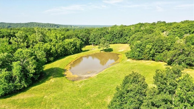 37905 E Round Prairie Rd, Oak Grove, MO 64075 - photo 62