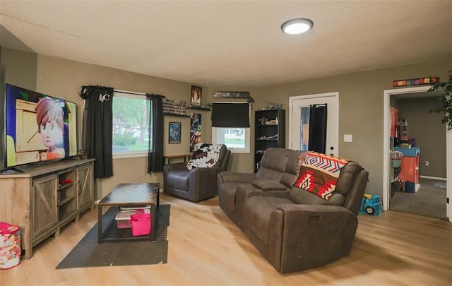 300 Brown Ave, Osawatomie, KS 66064 - living room with light wood-style floors