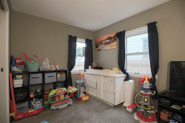 300 Brown Ave, Osawatomie, KS 66064 - recreation room with carpet floors