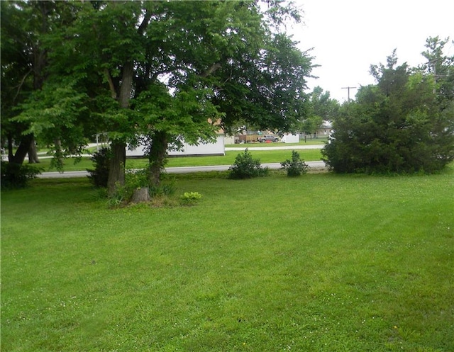 504 N Locust St, Moran, KS 66755 - view of green lawn