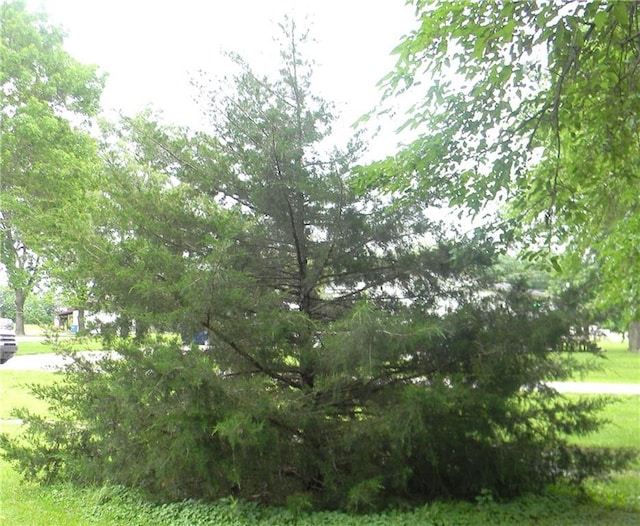 504 N Locust St, Moran, KS 66755 - view of undeveloped land