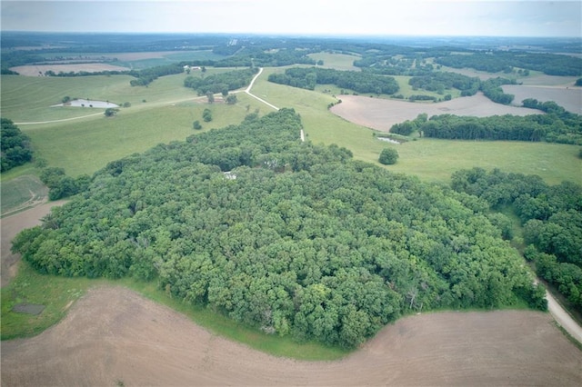5325 Bryant Bottom Rd, Blackwater, MO 65322 - overview of rural landscape