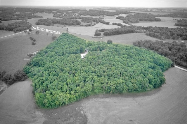 5325 Bryant Bottom Rd, Blackwater, MO 65322 - drone / aerial view