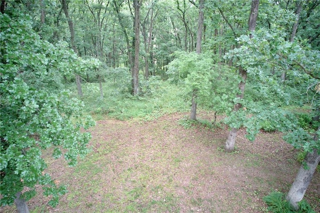 5325 Bryant Bottom Rd, Blackwater, MO 65322 - view of woods