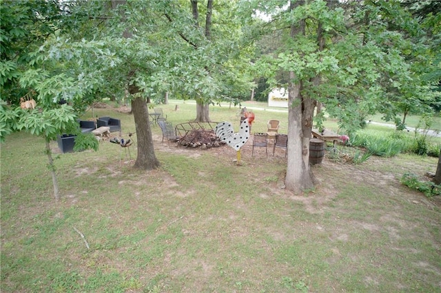5325 Bryant Bottom Rd, Blackwater, MO 65322 - view of yard