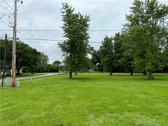 1000 E Pine St, Rich Hill, MO 64779 - photo 8