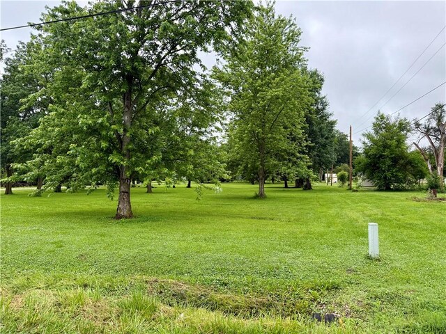 1000 E Pine St, Rich Hill, MO 64779 - photo 9