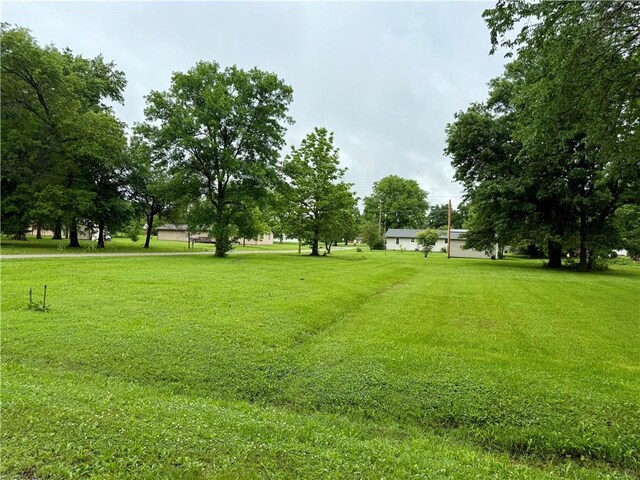 1000 E Pine St, Rich Hill, MO 64779 - photo 10