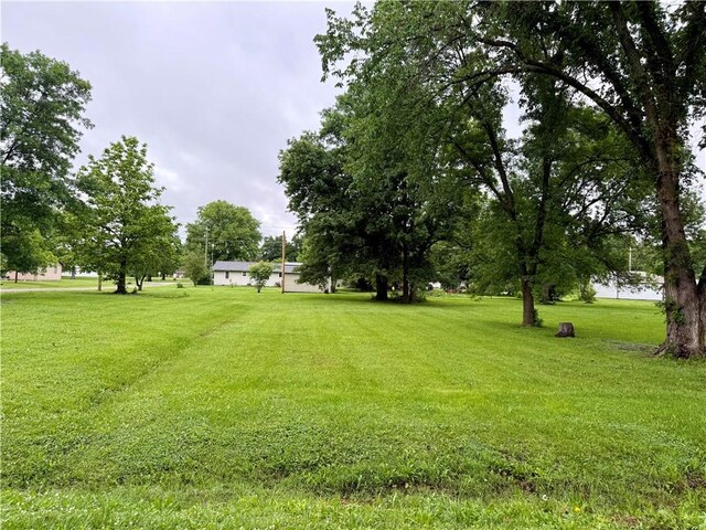 1000 E Pine St, Rich Hill, MO 64779 - photo 11