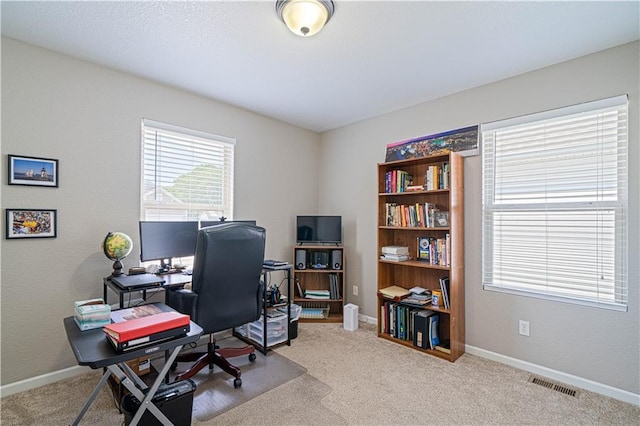 3206 Sheffield Ln, Saint Joseph, MO 64506 - office space with carpet and baseboards