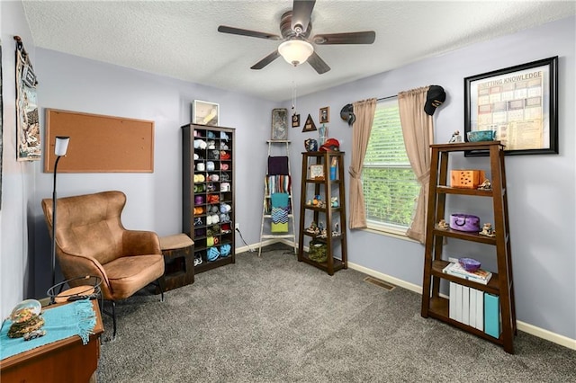 4316 Grand Ave, Leavenworth, KS 66048 - living area with a ceiling fan, baseboards, carpet, and a textured ceiling