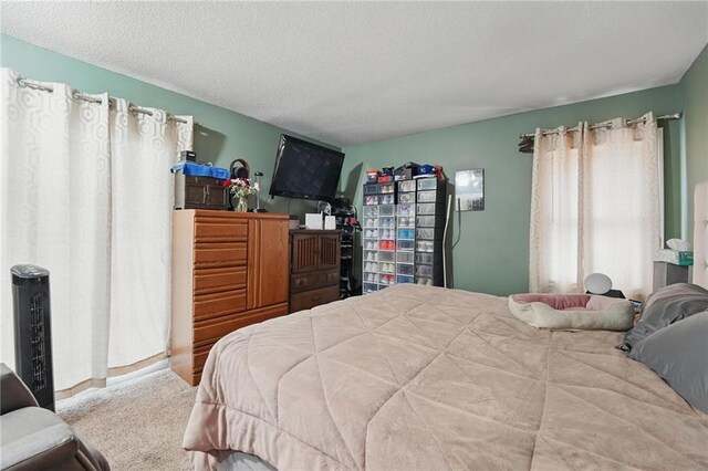 1012 NE 99th St, Kansas City, MO 64155 - photo 19