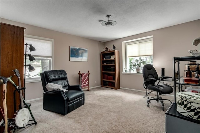 732 W 121st St, Kansas City, MO 64145 - carpeted home office featuring a textured ceiling