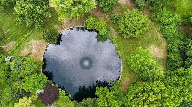 3200 NW 51st Ter, Blue Springs, MO 64015 - bird's eye view of a nearby body of water