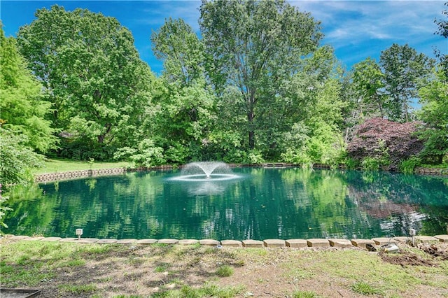 3200 NW 51st Ter, Blue Springs, MO 64015 - water view