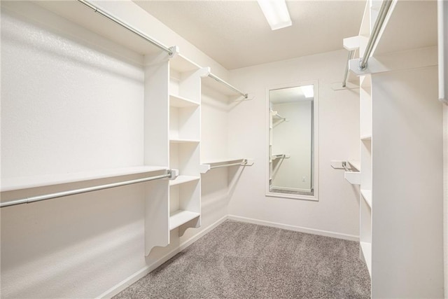 1532 SW Cross Creek Dr, Lees Summit, MO 64082 - walk in closet featuring carpet floors