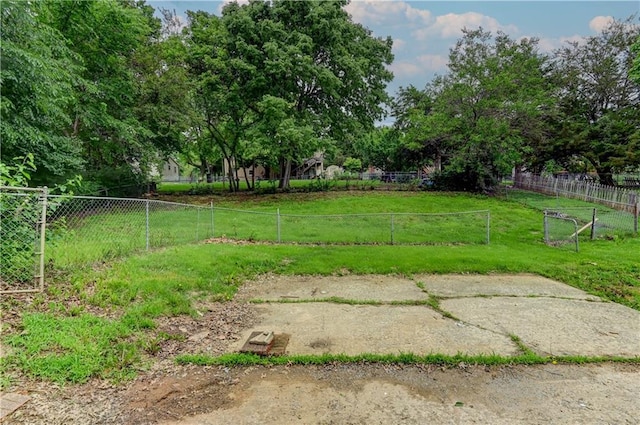 113 SE 250th Rd, Warrensburg, MO 64093 - view of yard