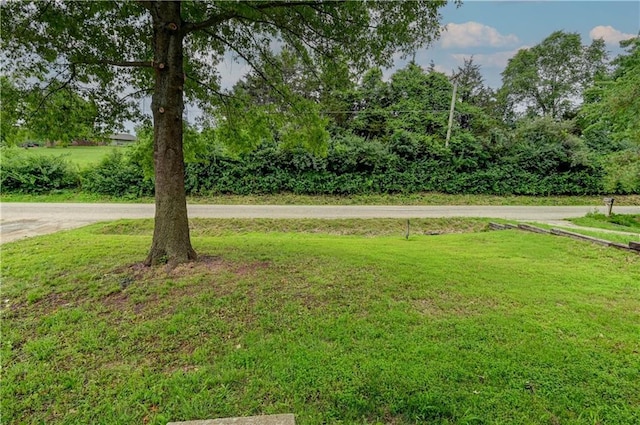 113 SE 250th Rd, Warrensburg, MO 64093 - view of green lawn