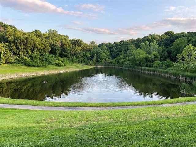 8709 Pine St, Lenexa, KS 66220 - water view featuring a forest