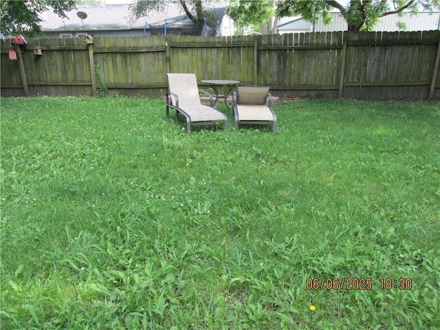 112 Spruce St, Garden City, MO 64747 - view of yard