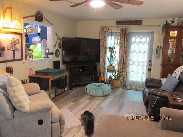 112 Spruce St, Garden City, MO 64747 - living room with a ceiling fan and wood finished floors