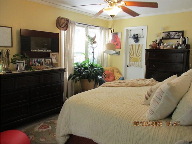 112 Spruce St, Garden City, MO 64747 - bedroom featuring crown molding and ceiling fan